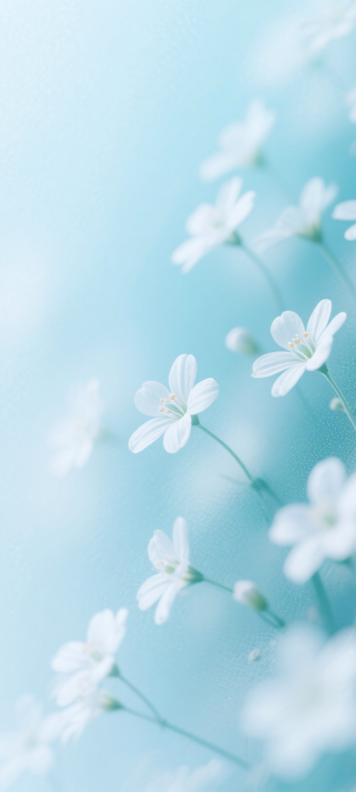柔蓝花息